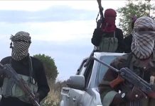 Terrorists Who Attacked Abuja-Kaduna Train Make Demand From Government (Video)