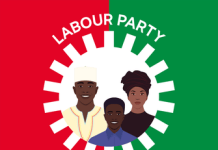 Bayelsa LP removes chairman, elects new leader