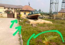 NIS Bayelsa Command launches beautification Campaign, plant over 30 trees