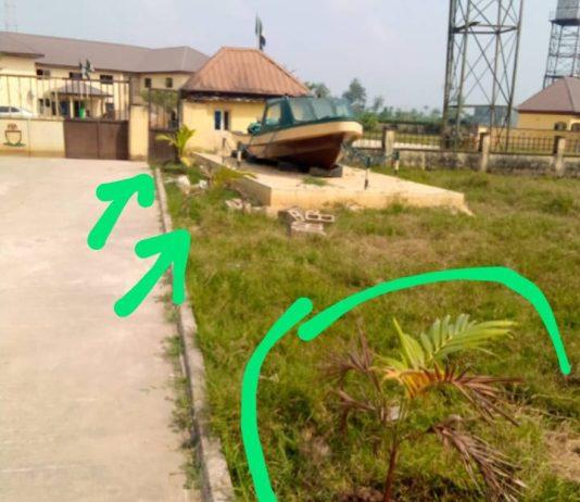 NIS Bayelsa Command launches beautification Campaign, plant over 30 trees