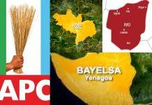 APC screens 24 Gov aspirants for Kogi, Bayelsa, Imo