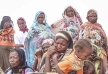 Thousands of Sudanese make perilous trek to safety in Chad