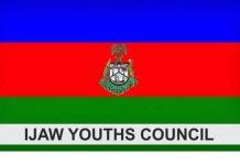 Allocate oil blocks in Gombe, Bauchi, others to Niger Delta people, IYC tells FG