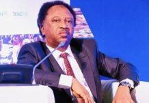 133m Nigerians poor despite $5.4bn Paris refund given to governors – Shehu Sani