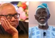 May 29: Peter Obi’s request unconstitutional; Tinubu must be sworn in — LP’s Lamidi Apapa