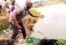 SPDC: Over 300 fishermen rendered jobless in Eleme Community over recent Oil spillage
