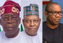 Tinubu, Shettima tender LP membership register in proof of claim Obi not party’s member
