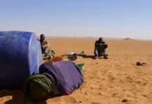 1,200 Nigerians Die In Sahara Desert, Mediterranean Sea In 2023 — IOM