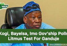 Kogi, Bayelsa, Imo Gov’ship Polls Litmus Test For Ganduje – Moghalu