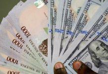 At 1,160/$, Naira Steadies At Parallel Market