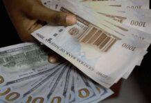 Naira: Official Market Records Highest Rate At N1,513/$