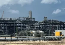 $20bn Dangote Refinery to boost Nigeria’s foreign exchange generation, conservation — Experts