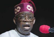 AFCON: Go soar in finals, well done – Tinubu hails Super Eagles for beating South Africa