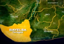 Bayelsa Nurses Demand Immediate Reversal Of Verification Policies Limiting Their Freedom Of Practice