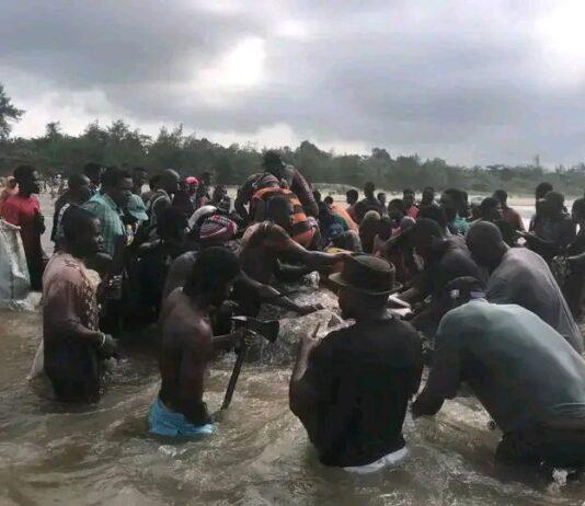 Drama as residents butcher mighty whale in Bayelsa coast line
