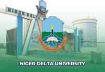 Controversy Surrounds NDU SUG Elections: Students Cry Foul Over Alleged Rigging