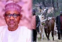 I left office with same physical assets I had before my presidency – Buhari