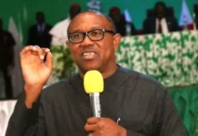 Peter Obi to contest 2027 election under Labour Party